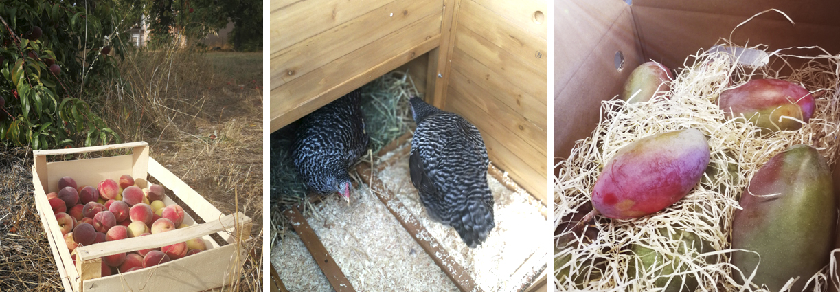 Kann man ruhig mal sagen